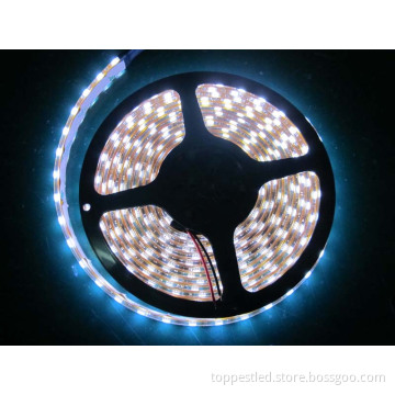 LED Strip Light (TP-F50-015W01)